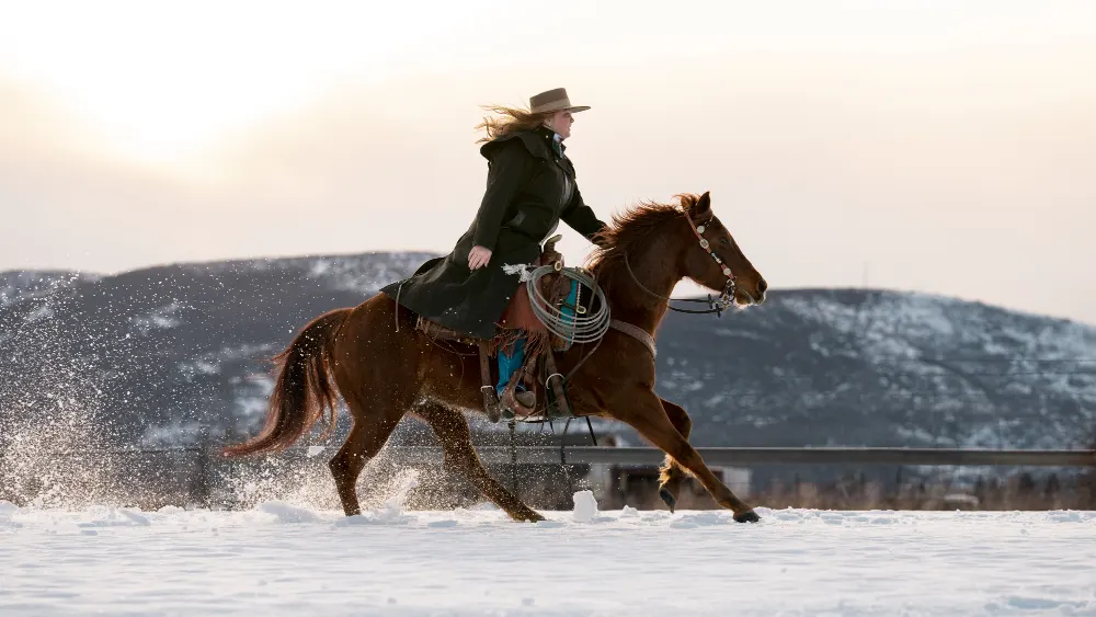 central wyoming fair horse racing